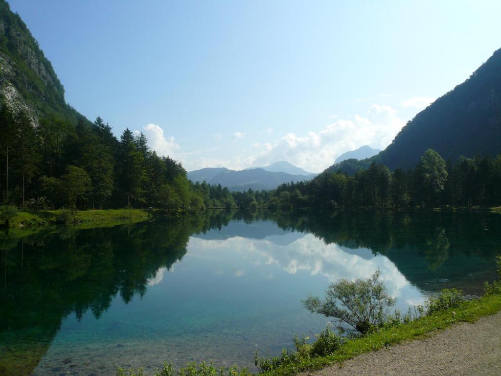 Goldener Ochs Bed & Breakfast Golling an der Salzach Dış mekan fotoğraf